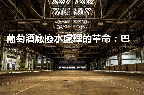 葡萄酒廠廢水處理的革命：巴洛仕的創(chuàng)新技術(shù)！